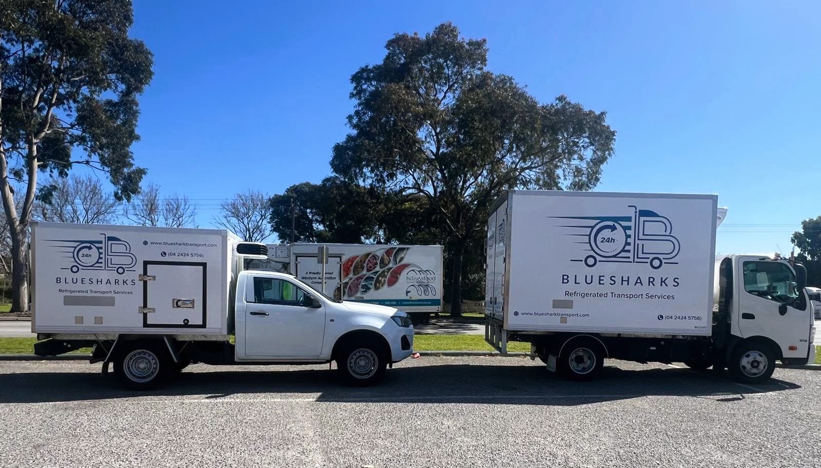 Bluesharks24H branded refrigerated trucks in Perth