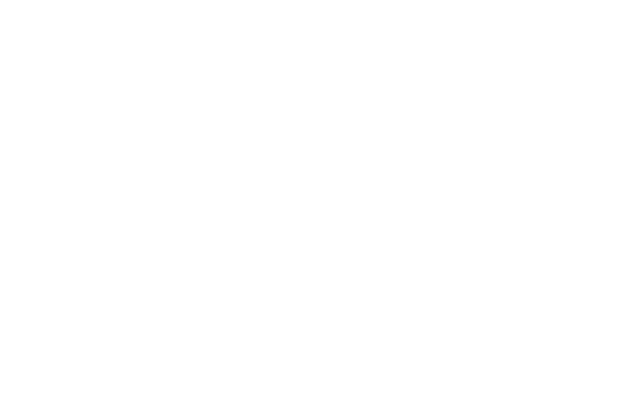 Bluesharks24H logo